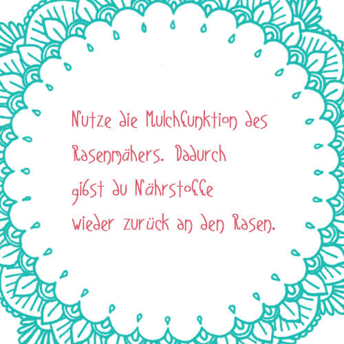 Rasenpflege Wasser sparen Rasen