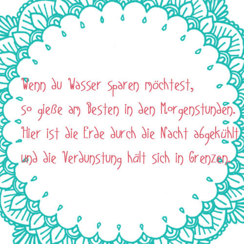 Rasenpflege Wasser sparen Rasen