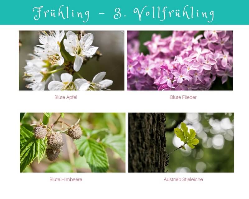 Vollfrühling