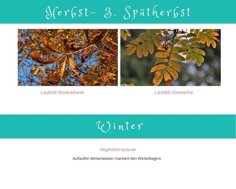 Phänologischer Kalender