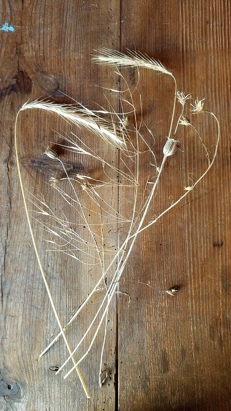 Kunst aus dem Garten