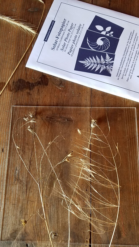 Kunst aus dem Garten