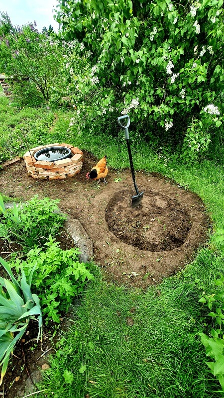 Lotusgarten wird angelegt