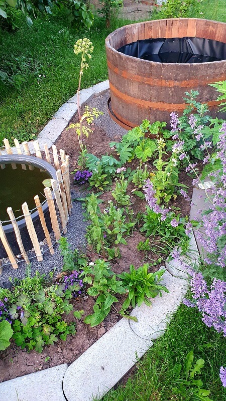Die Bepflanzung im Lotusgarten