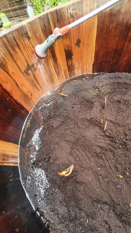 Wasser in den Lotusbottich füllen