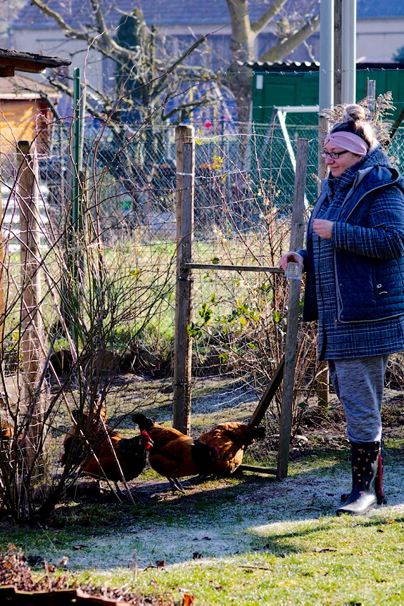 Zeit mit Hühnern