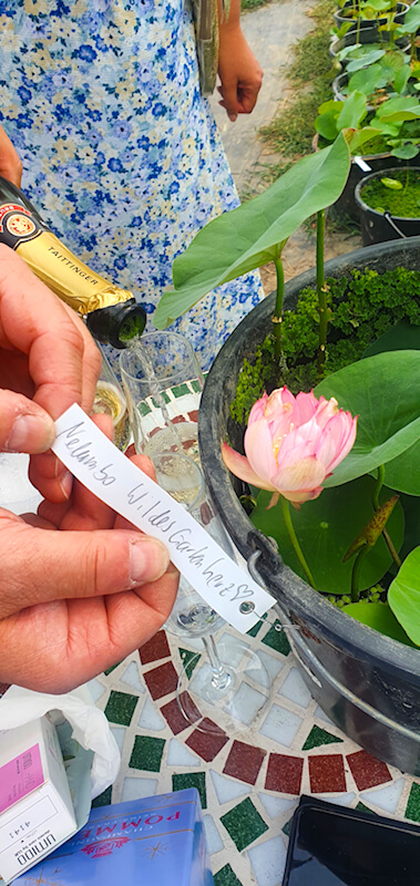 Nelumbo Wildes Gartenherz