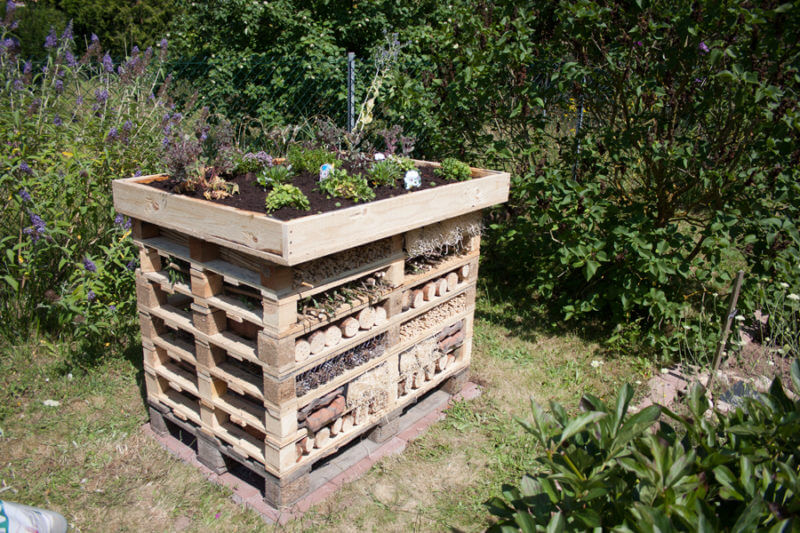 Insektenhotel bauen, Anleitung Insektenhotel