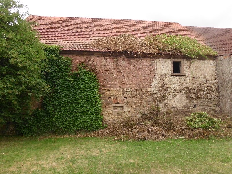 Mein Garten - vorher und nachher
