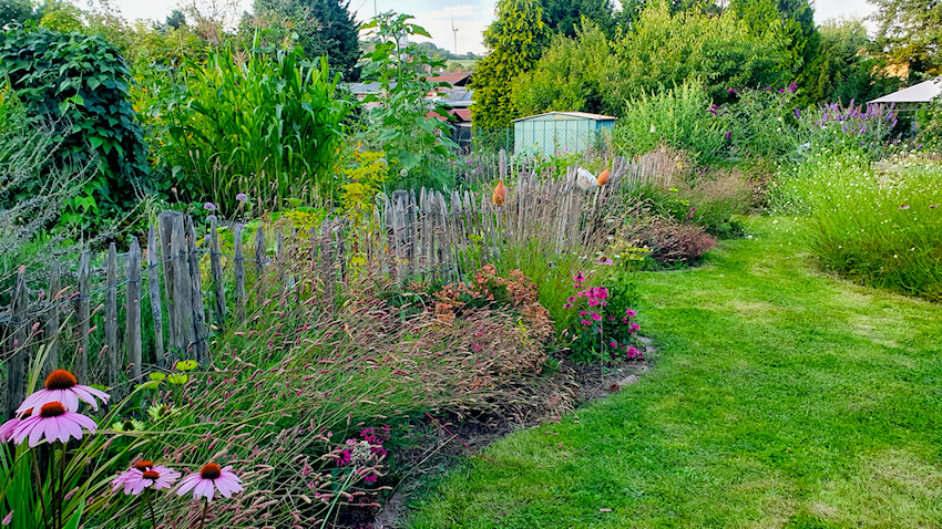 Garten Vorher Nachher
Naturnaher Garten