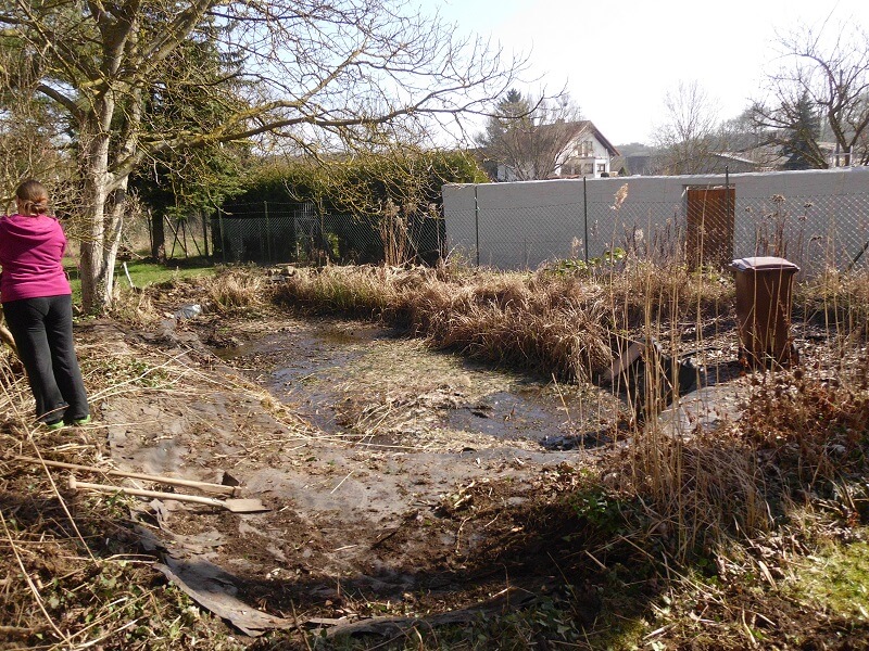 Mein Garten - vorher und nachher