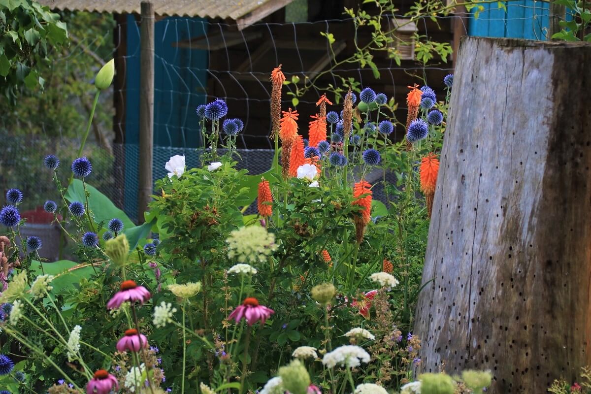 Ein naturnaher Garten