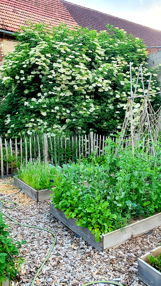 Garten Vorher Nachher
