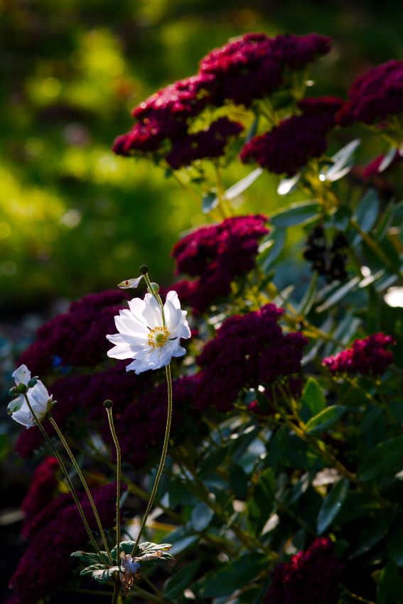 Blickpunkte im Garten