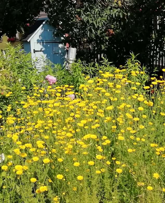 Marion - schönste Garten