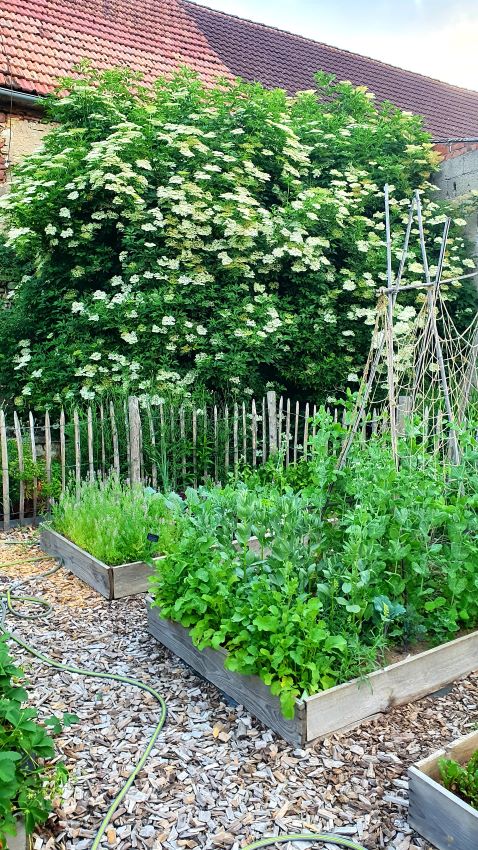 Blickpunkte im Garten