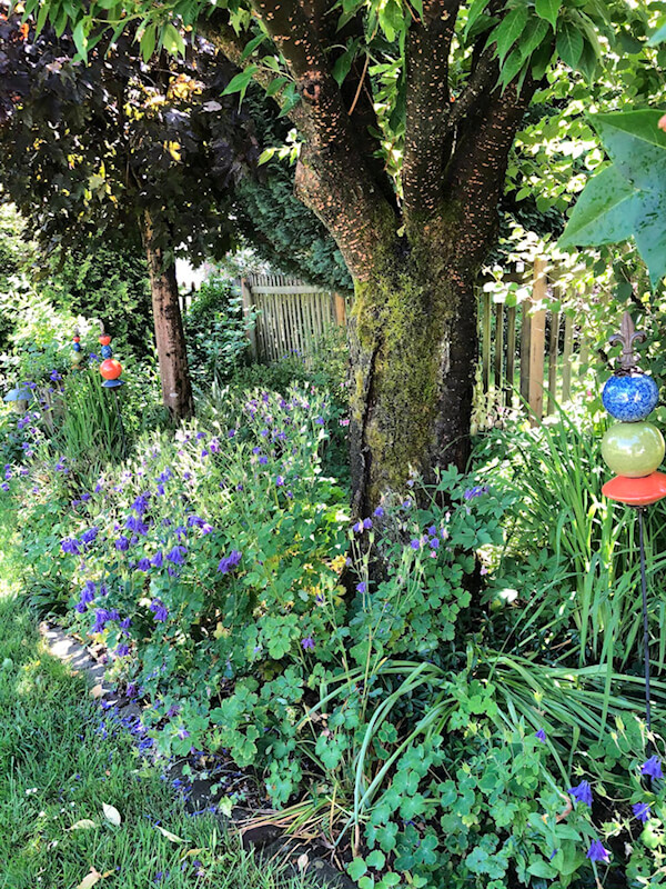 Grundlagen der Gartengestaltung