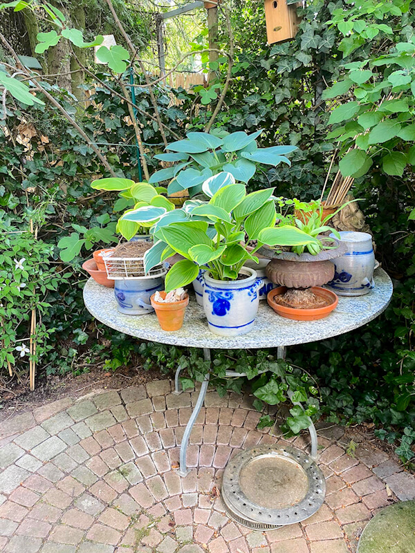 Grundlagen der Gartengestaltung