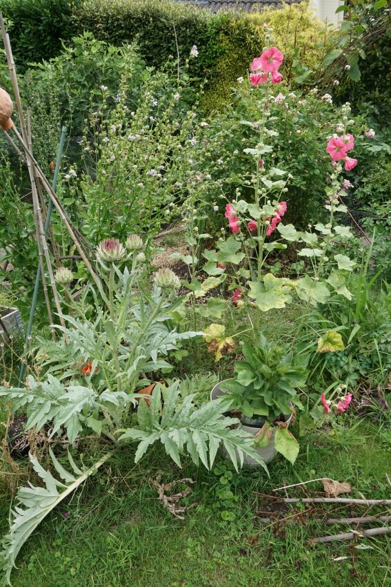 Der wilde Garten von GartenGarten.