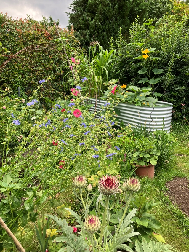 Der Garten von gartengarten.