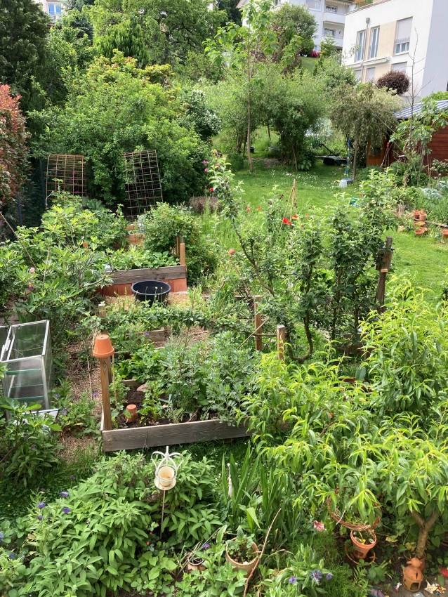 Der Garten von gartengarten.