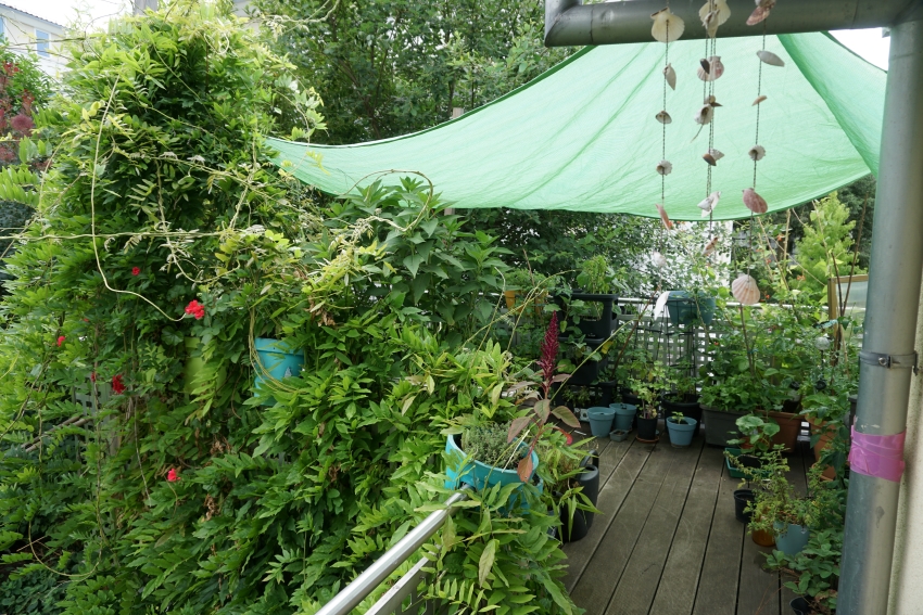 Der Garten von gartengarten.