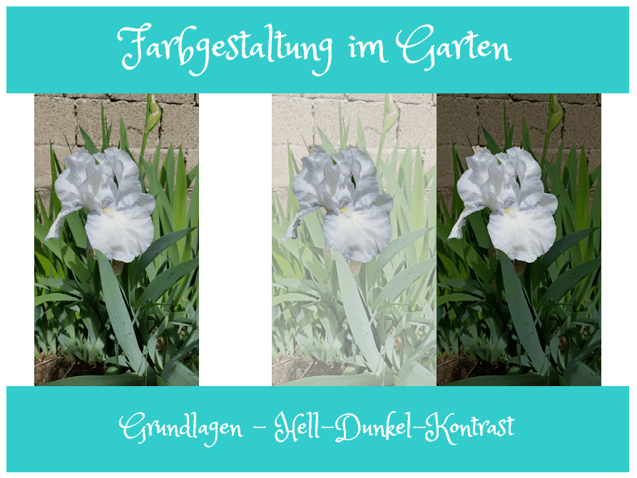 Farbgestaltung im Garten