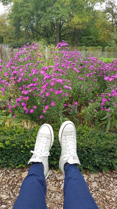 Fehler bei der Gartengestaltung