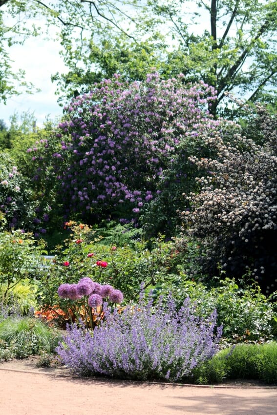 Rosengarten Zweibrücken