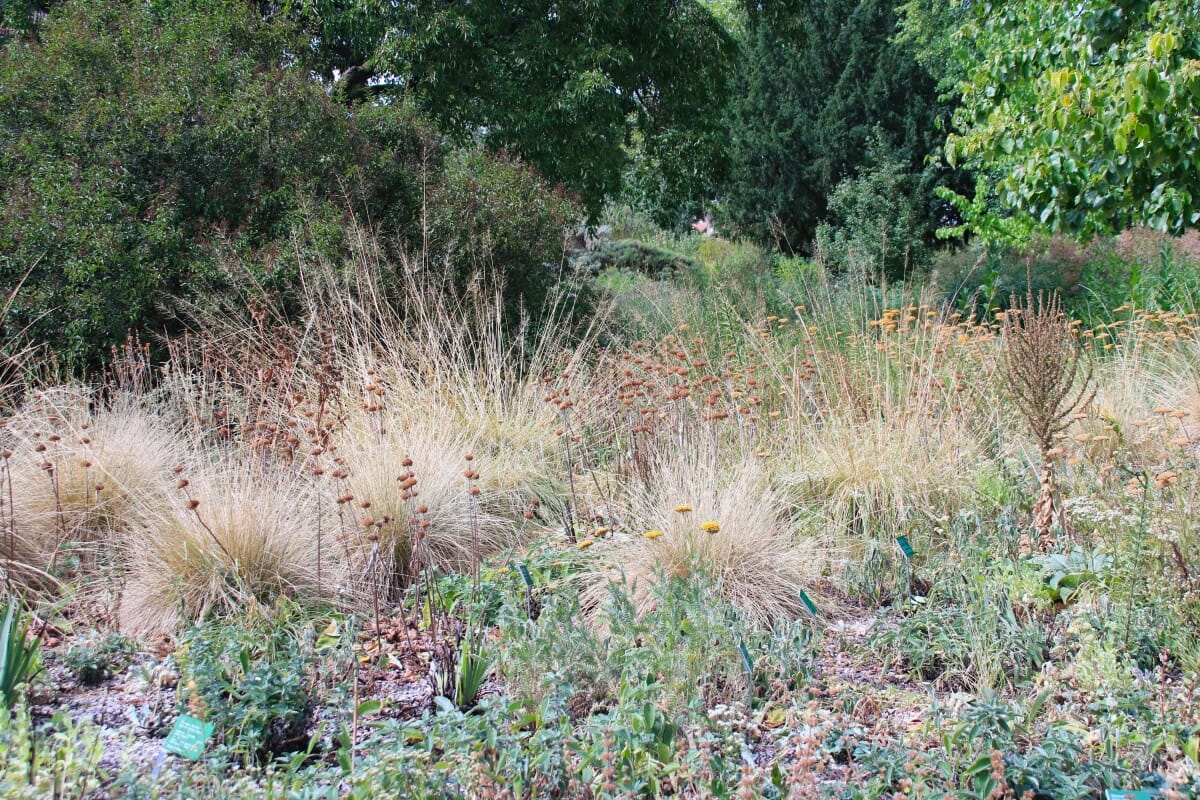 Garten im Klimawandel