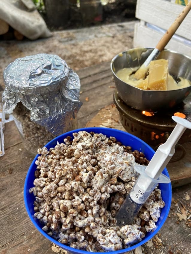 Holz mit Myzel impfen