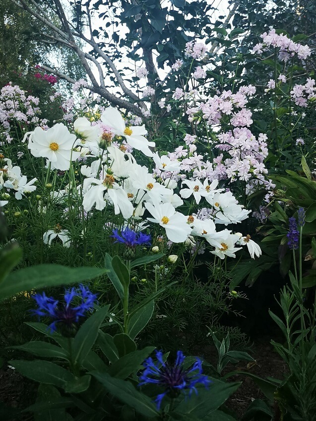 Die schönsten Privatgärten