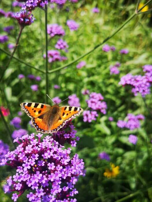 Die schönsten Privatgärten