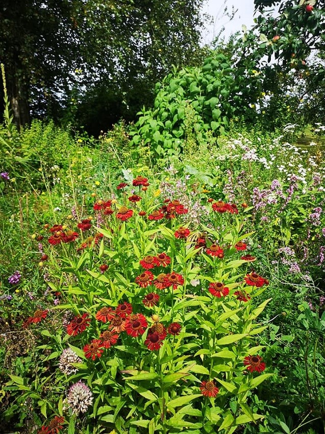 Die schönsten Privatgärten