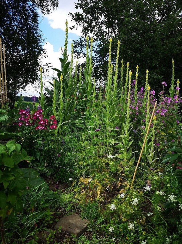 Die schönsten Privatgärten