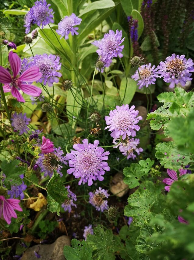 Die schönsten Privatgärten