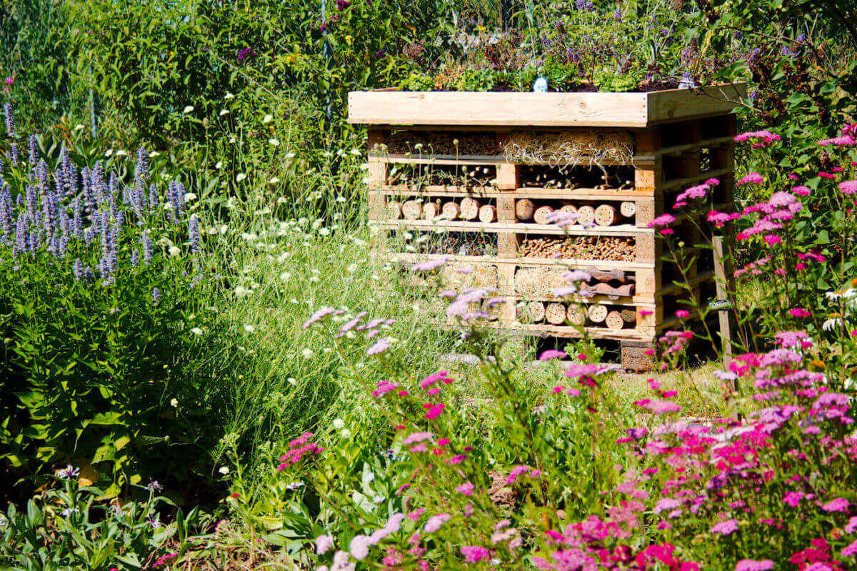 Gartenblog Insektenhotel