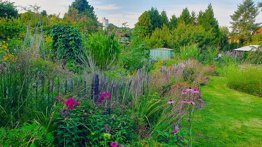 Räume im Garten gestalten
Pflanzen für die Trockenheit