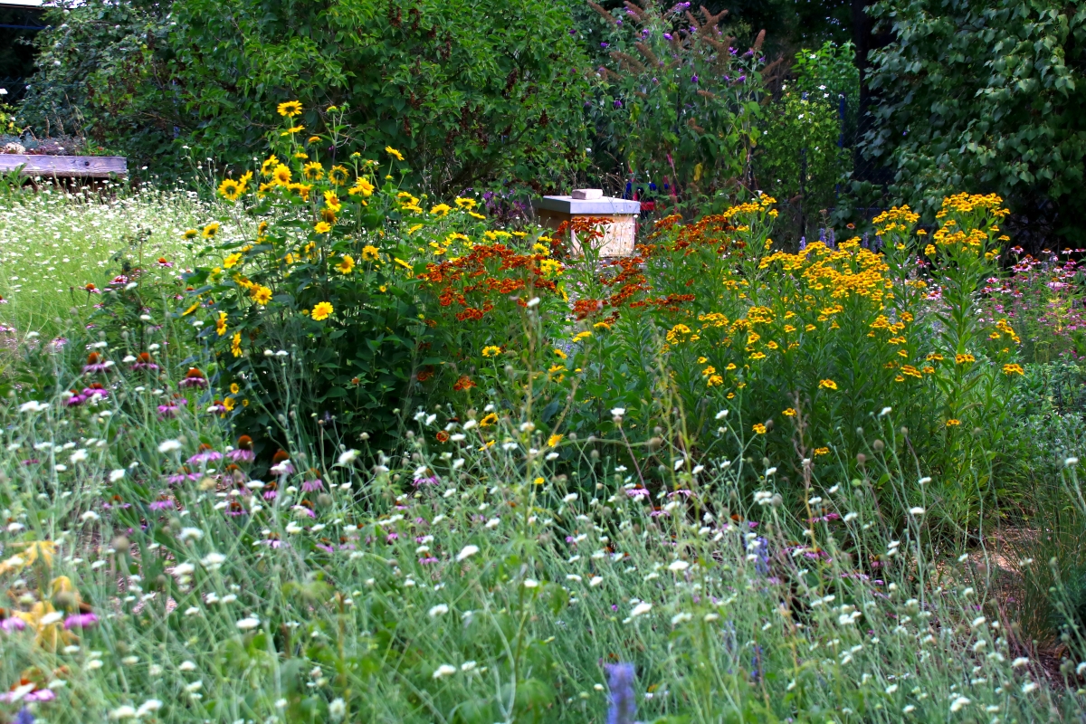 Lebensbereiche der Stauden