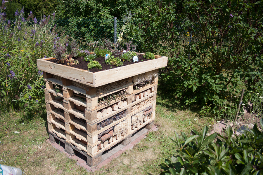 Insektenhotel selber bauen