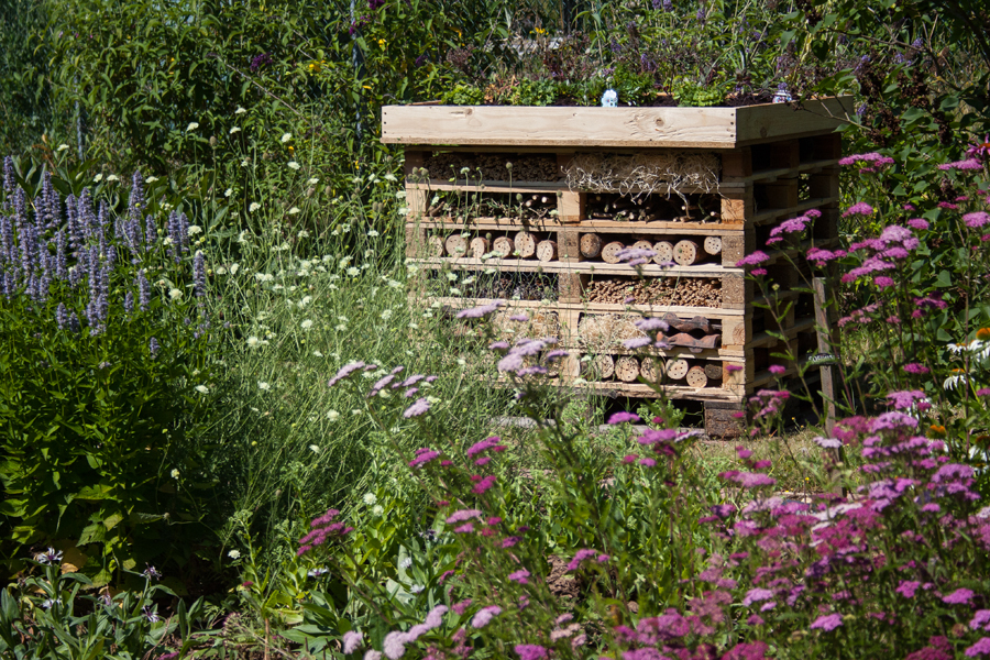 Insektenhotel selber bauen