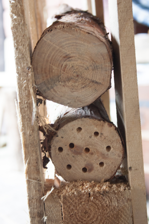Hölzer einbohren