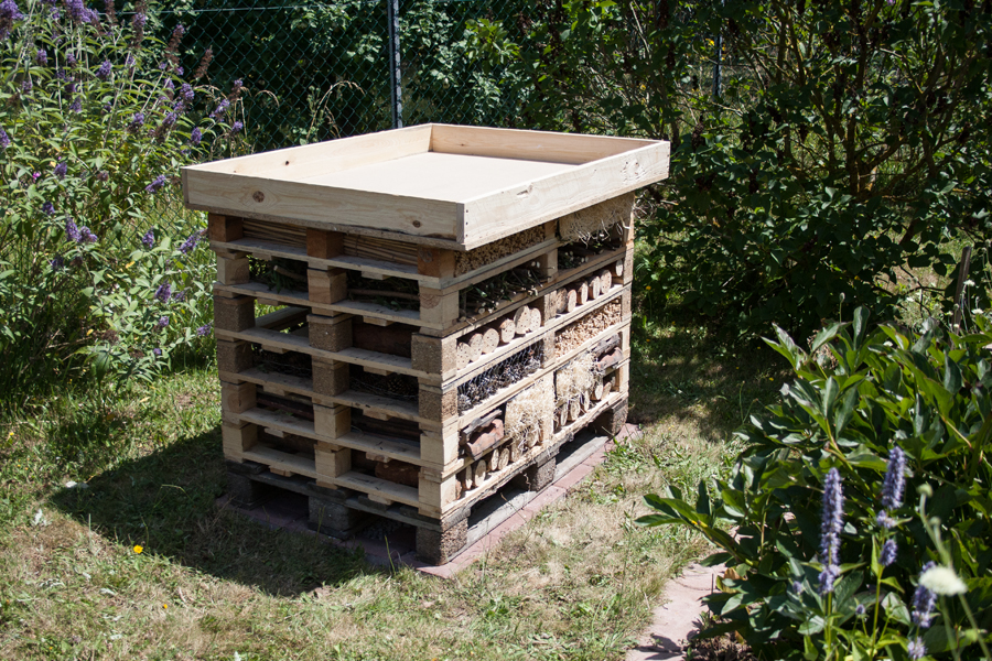 Insektenhotel selber bauen
