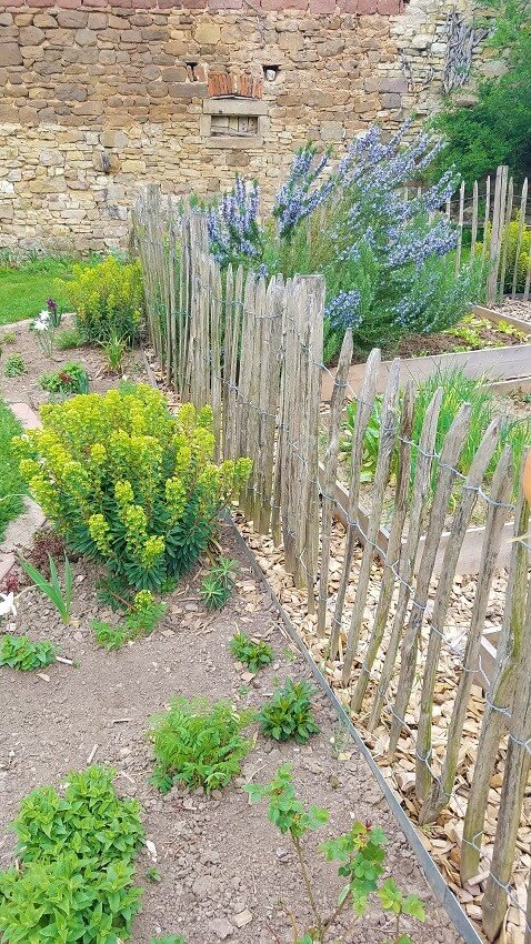 Idealer Pflanzabstand