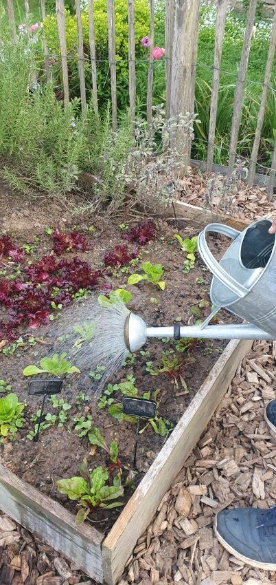 Gartenarbeit im April