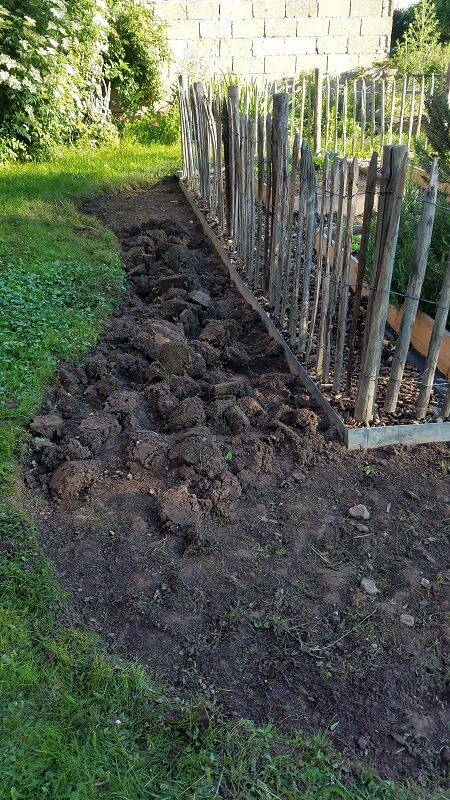 Staudenbeet beim Gemüse