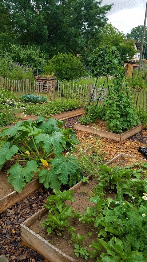 Gemüsegarten