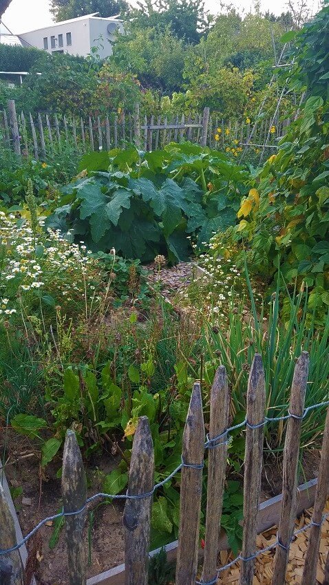 Gemüsegarten