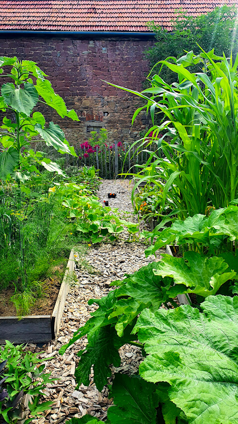 Gemüsegarten