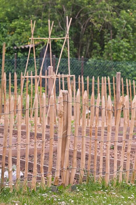 Gemüsegarten anlegen Staketenzaun